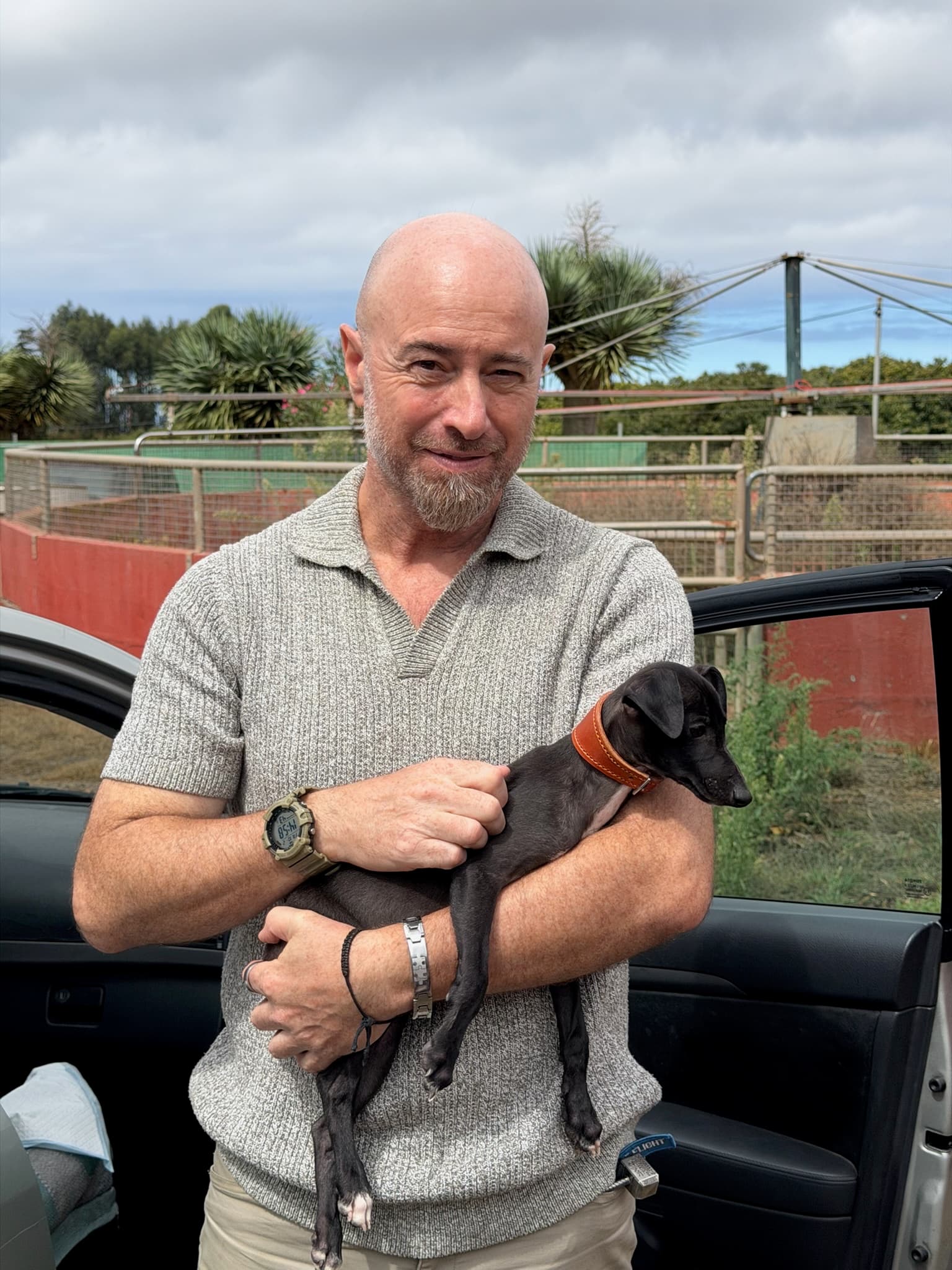Cliente recogiendo su cachorro Galgo Italiano negro en El Nieto